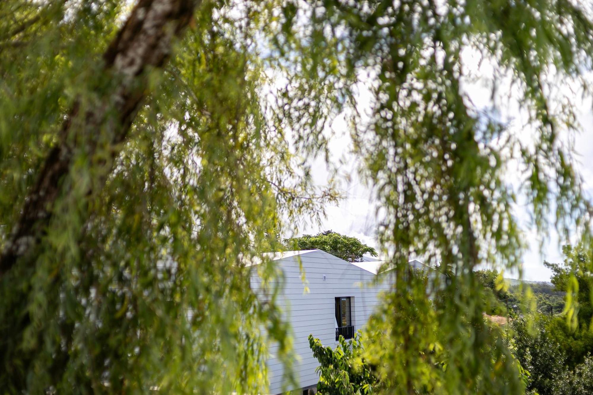 Solar Branco Eco Estate Villa Ponta Delgada Kültér fotó