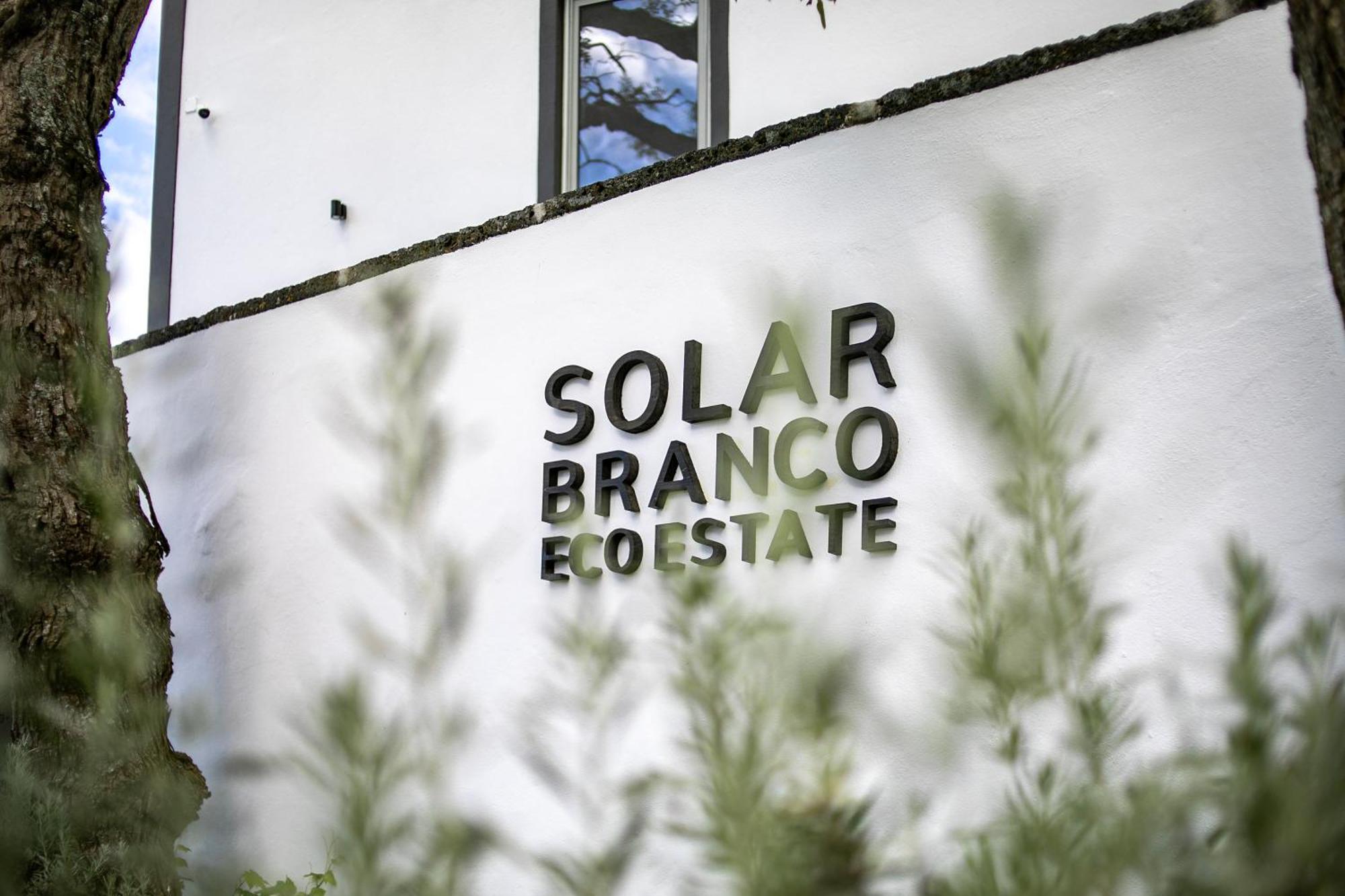 Solar Branco Eco Estate Villa Ponta Delgada Kültér fotó